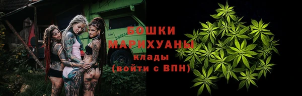 метадон Алексин