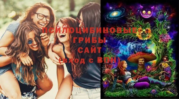 прущий лед Алексеевка