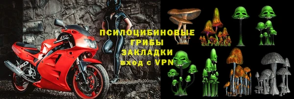 прущий лед Алексеевка