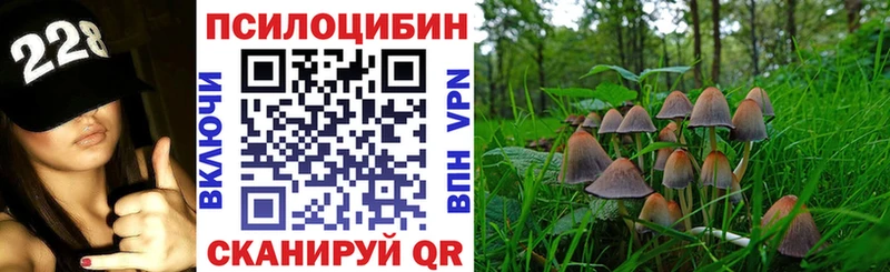 omg ссылка Андреаполь Псилоцибиновые грибы ЛСД